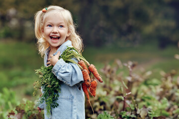 cute toddler smiling blond girl in blue outfits holding a bunch of fresh organic carrots. child harv