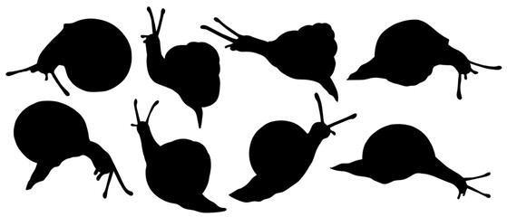 Set of snail silhouettes. Vector graphics.