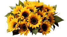 Sunflowers Transparent Background, Png