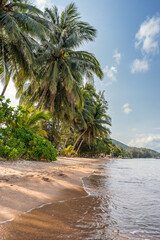 Wall Mural - Empty sandy tropical Sairee beach shoreline on Koh Tao island in Thailand in the morning