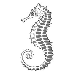 Wall Mural - Illustration of Cartoon seahorse in line art