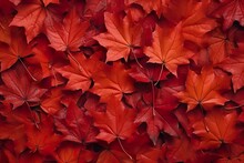 Wine Red Autumn Leaves Texture, Fall Nature Background,  AI Generative