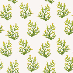 Poster - Vector sea wallpaper - seamless pattern with green corals on a white background.