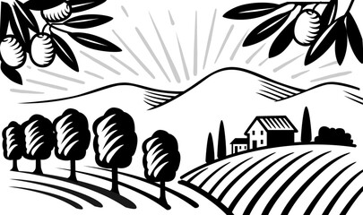 Garden of olive trees vector. Village landscape.