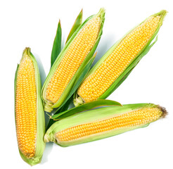 Canvas Print - Fresh corn harvest vegetables top view green leaf top view, isolated on white background