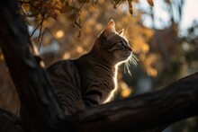 AI Generated Illustration Of A Grey Tabby Cat Perched On A Tree Branch Looking Out Towards The Sky