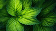 Grüne Blätter in der Natur, grüner Hintergrund, Umweltkonzept. Generative ai