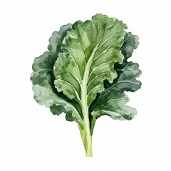 Fresh Organic Kale Vegetable Background, Square Watercolor Illustration. Healthy Vegetarian Diet. Ai Generated Soft Colored Watercolor Illustration with Delicious Juicy Kale Vegetable.