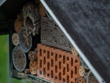 A Closeup Of A Insect Hotel In Jena