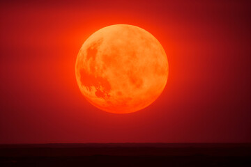 Sticker - beautiful red sunset in the desert or over the ocean, generative ai