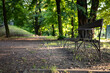 ławka przy ścieżce w parku ławki pośród drzew zielony klimat zachodnia polska