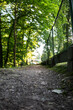 ścieżka w parku ławki pośród drzew zielony klimat zachodnia polska