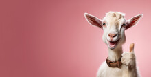 Cute Goat, Smiling, Showing Approving Thumbs Up To Appreciate Good Work Or Product. Wide Banner With Copy Space Side. Generative AI