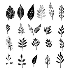 Wall Mural - Tropical leaves in hand drawn vector collection