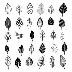 Wall Mural - Hand drawn vector assortment of tropical leaves for versatile use