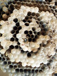 hornet nest - inside