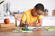 © Pixel-Shot - Little African-American boy doing homework in kitchen