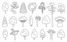Tree Line Icon Set. Spruce Maple Baobab Palm Sequoia. Coloring Book Eco Plants Side View. Dracaena Willow Cypress Thuja Pine Oak Poplar Birch. Cartoon Forest Aspen Alder Ash Linden Acacia Chestnut