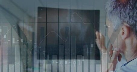 Poster - Animation of graphs over short hair caucasian female doctor analyzing patient x-ray in hospital