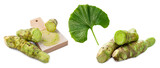 Fototapeta  - Japanese wasabi with leaf and grater on white background.