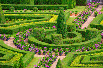 Beautiful Topiary trees with shrubs in European ornamental garden style at public park, garden landscaping ideas concept