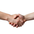 © LUPACO PNG - two people shaking hands in a professional setting