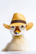 Duck wearing yellow hat and brown ribbon around its neck and white background. Generative AI.