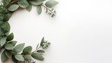Fototapeta Kwiaty - A close-up view of a simple chestnut and eucalyptus autumnal or christmas wreath encircling a blank space, offering a subtle and elegant frame for showcasing text or design materials. Generative AI.  