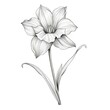 narcissus Daffodil flower ai generated
