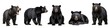 Wildlife animals bears banner panorama long - Collection of standing, sitting, screaming, lying group of american black bear (Ursus americanus), isolated on white background (Generative Ai)