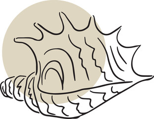 Sticker - Seashells sketch set. Vector graphics. Hand drawn line illustration. For design, packaging, decor, invitations.