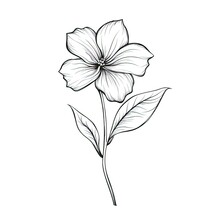 Blue Periwinkle Flower Ai Generated