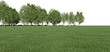 Realistic meadow and forest tree line. 3d rendering of isolated objects.