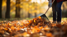 Person Rake Leaves In Autumn