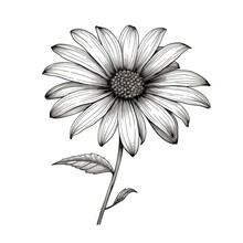 Cone Black Eyed Susan Flower Ai Generated