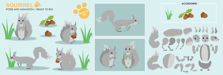 Grey Squirrel ready to animate with multiple poses and angles. Cut woodland creatures rig ready, running, sitting, eating. Collection vector set character for animation