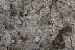 Dry and cracked soil background