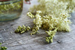 Meadowsweet blossoms collected in summer - preparation of tincture