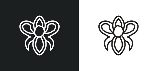 Poster - iris outline icon in white and black colors. iris flat vector icon from nature collection for web, mobile apps and ui.