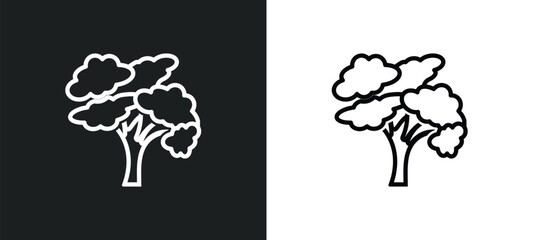 Wall Mural - american elm tree outline icon in white and black colors. american elm tree flat vector icon from nature collection for web, mobile apps and ui.