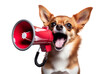 Funny dog holding a loudspeaker and screaming on a transparent background.