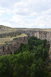 Vertical view of the Ihlara valley with cliff edge and forest in Aksaray, Central Anatolia, Turkey