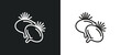 beetroot outline icon in white and black colors. beetroot flat vector icon from fruits collection for web, mobile apps and ui.