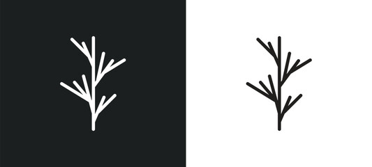 Poster - dill outline icon in white and black colors. dill flat vector icon from fruits and vegetables collec