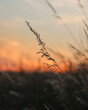 © Joyce - Zonsondergang van landschap, Zwitserland.
