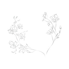 Wall Mural - Line Drawing Botanical Wreath. Herbs and florals 08