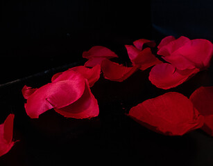 red rose petals 