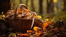 
Wicker Basket Full Of Mushrooms In The Autumn Forest. Generative AI.