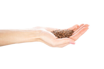 Wall Mural - Flax seeds in woman's hands isolated on white background.