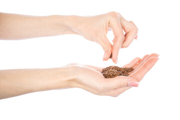 Wall Mural - Flax seeds in woman's hands isolated on white background.